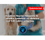 KEÇİÖREN HAYVAN HASTANESİ İLE YÜZDE 10 İNDİRİM ANLAŞMASI 